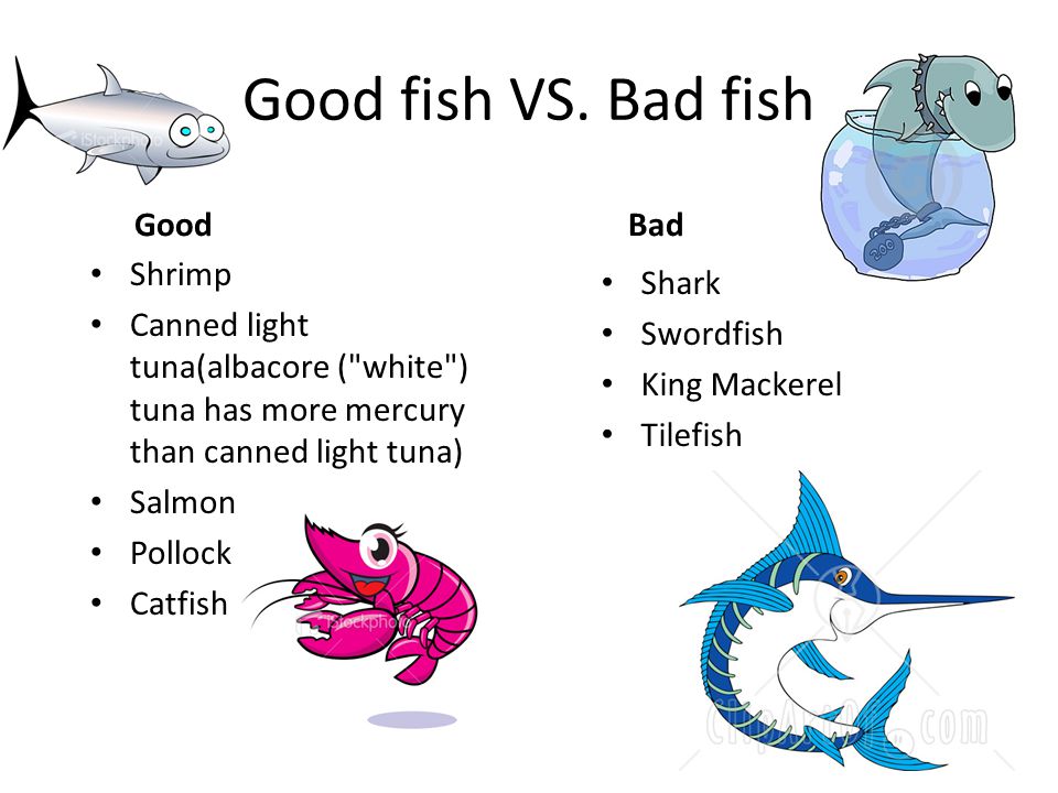 Good fish VS.
