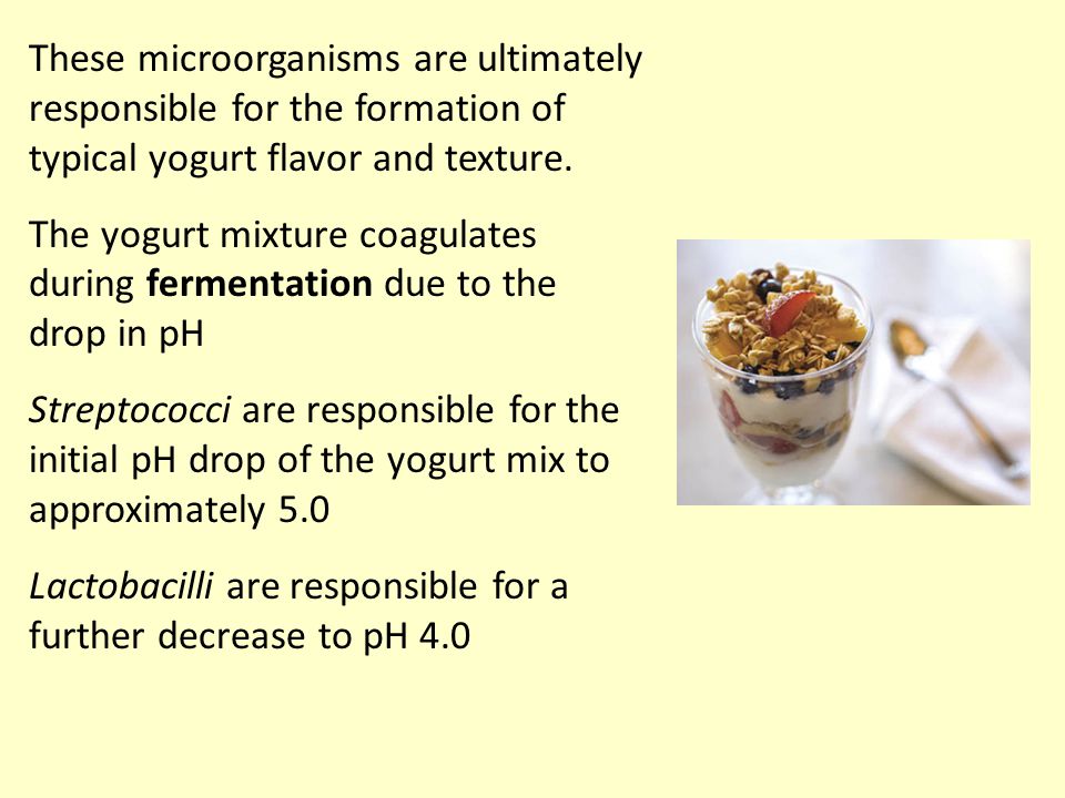 These microorganisms are ultimately responsible for the formation of typical yogurt flavor and texture.