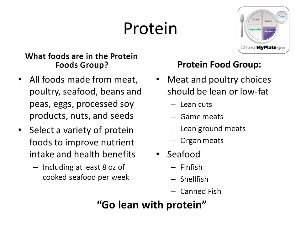 Protein What foods are in the Protein Foods Group.