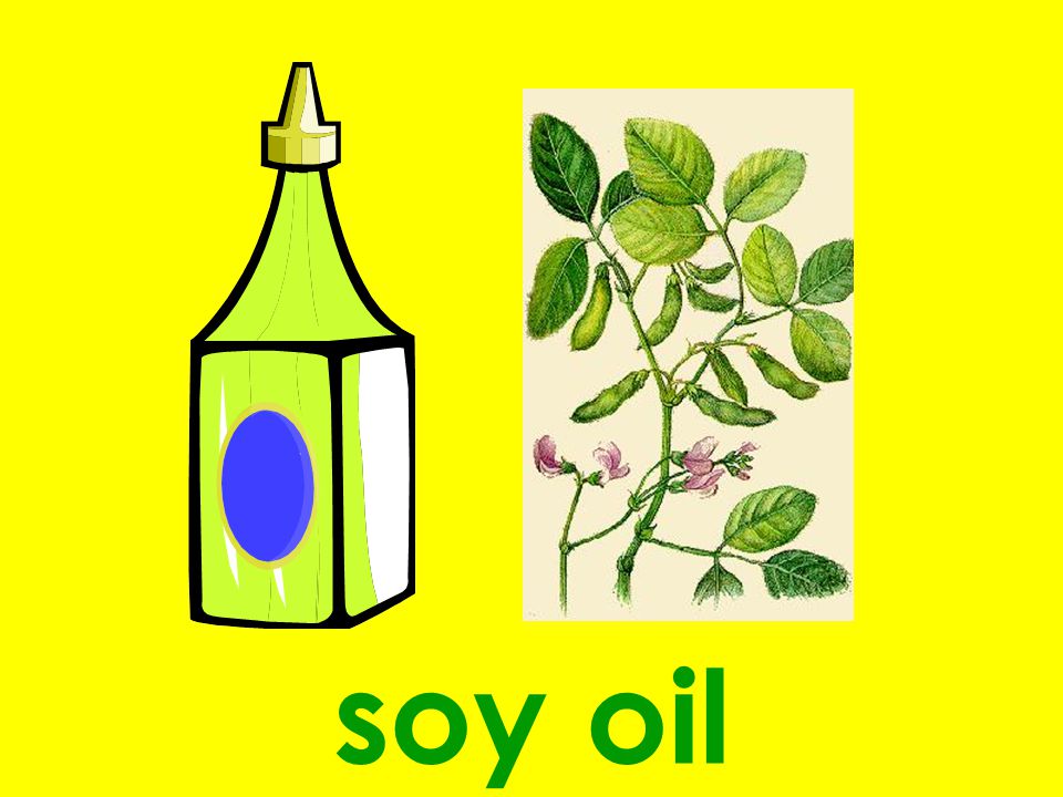 soy oil