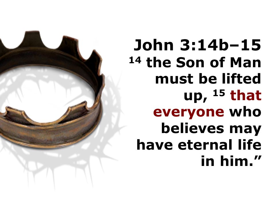 John 3:14b–15 14 the Son of Man must be lifted up, 15 that everyone who believes may have eternal life in him.