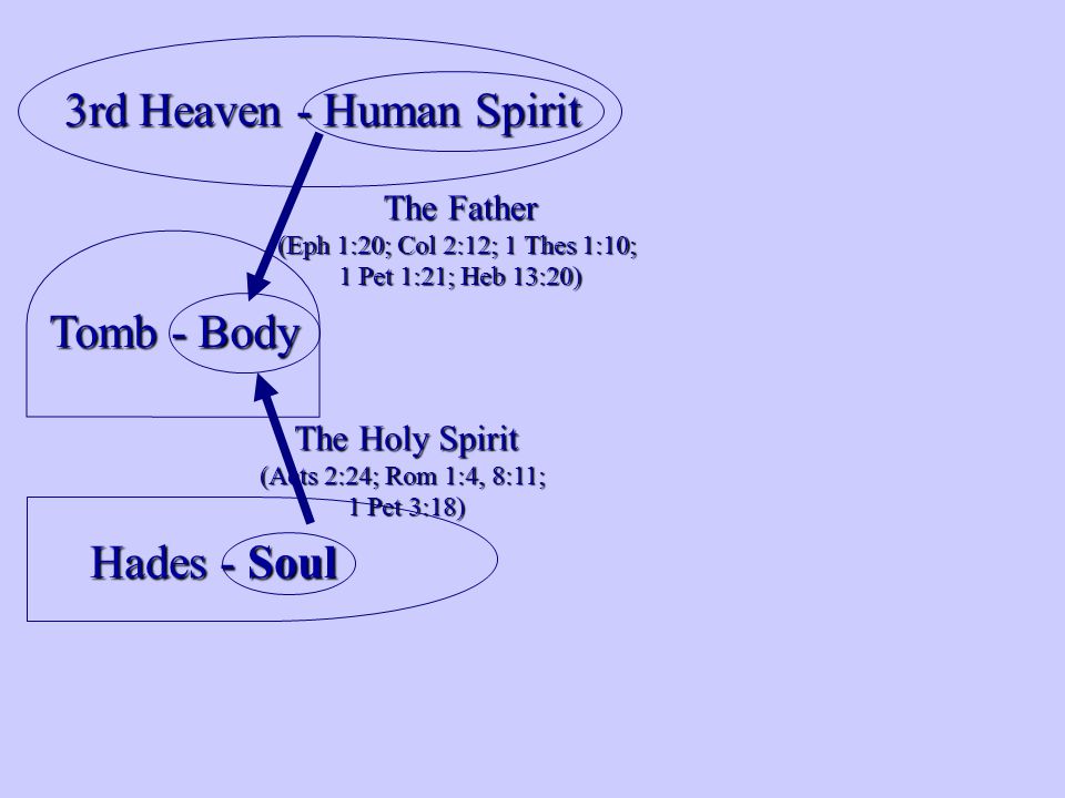 Tomb - Body Hades - Soul The Holy Spirit (Acts 2:24; Rom 1:4, 8:11; 1 Pet 3:18) 3rd Heaven - Human Spirit The Father (Eph 1:20; Col 2:12; 1 Thes 1:10; 1 Pet 1:21; Heb 13:20)
