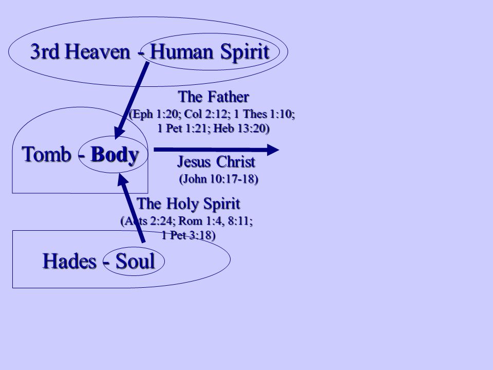 Tomb - Body Hades - Soul The Holy Spirit (Acts 2:24; Rom 1:4, 8:11; 1 Pet 3:18) 3rd Heaven - Human Spirit The Father (Eph 1:20; Col 2:12; 1 Thes 1:10; 1 Pet 1:21; Heb 13:20) Jesus Christ (John 10:17-18)