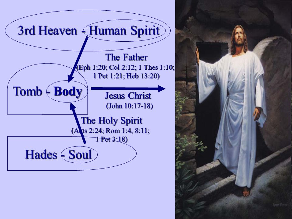 Tomb - Body Hades - Soul The Holy Spirit (Acts 2:24; Rom 1:4, 8:11; 1 Pet 3:18) Jesus Christ (John 10:17-18) 3rd Heaven - Human Spirit The Father (Eph 1:20; Col 2:12; 1 Thes 1:10; 1 Pet 1:21; Heb 13:20)