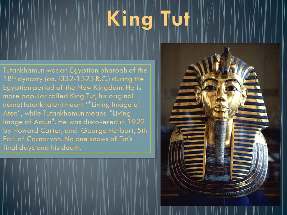 Tutankhamun was an Egyptian pharoah of the 18 th dynasty (ca.
