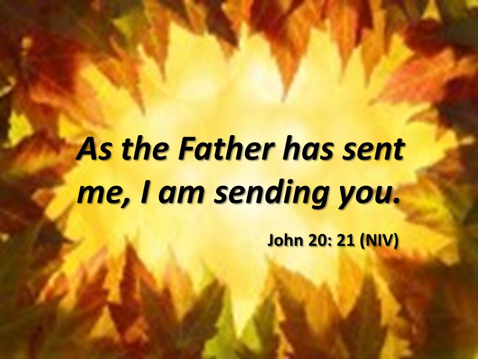 As the Father has sent me, I am sending you. John 20: 21 (NIV)