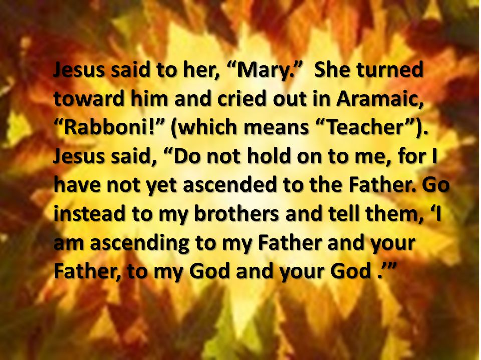 Jesus said to her, Mary. She turned toward him and cried out in Aramaic, Rabboni! (which means Teacher ).