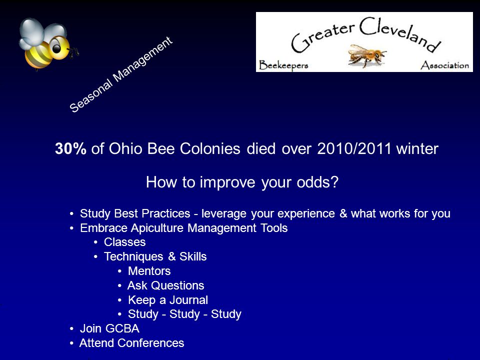 30% of Ohio Bee Colonies died over 2010/2011 winter How to improve your odds.