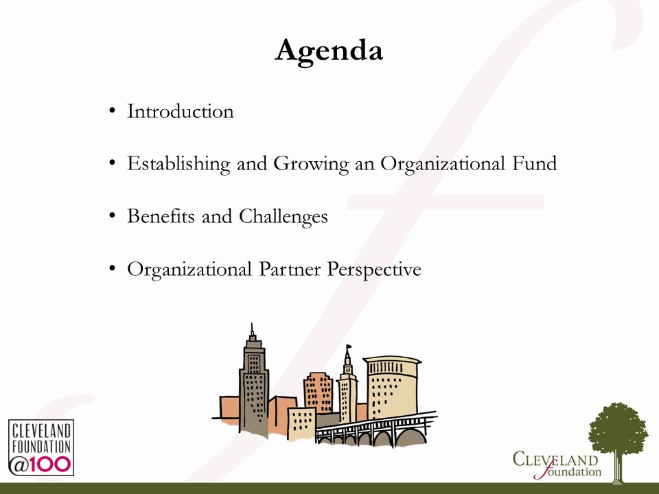 Agenda Introduction Establishing and Growing an Organizational Fund Benefits and Challenges Organizational Partner Perspective