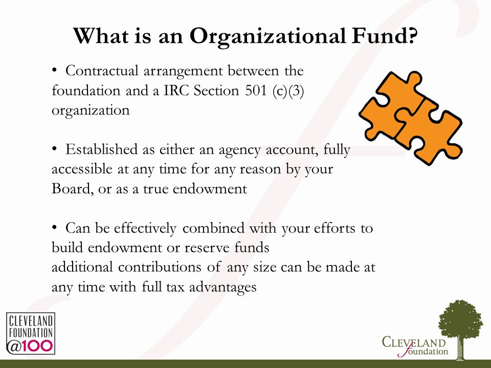 3 What is an Organizational Fund.