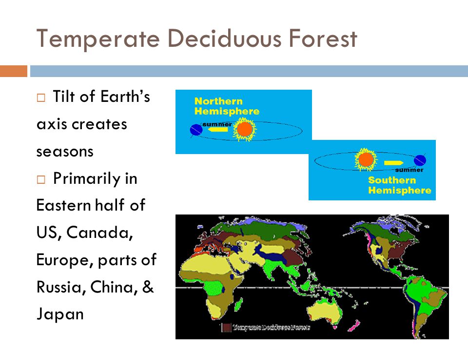 Temperate Deciduous Forest  Tilt of Earth’s axis creates seasons  Primarily in Eastern half of US, Canada, Europe, parts of Russia, China, & Japan