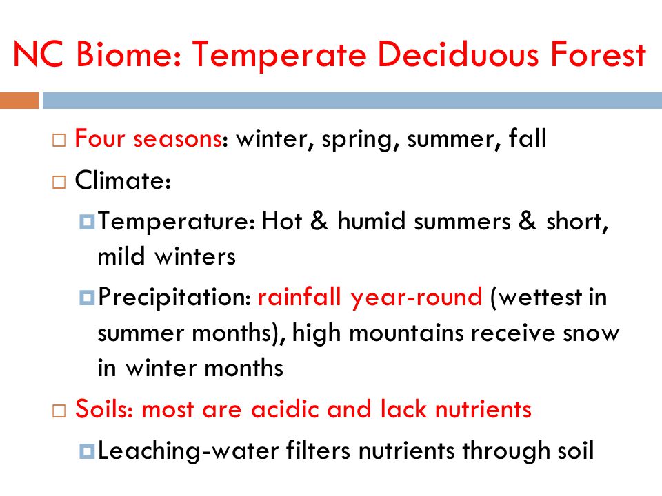 NC Biome: Temperate Deciduous Forest  Four seasons: winter, spring, summer, fall  Climate:  Temperature: Hot & humid summers & short, mild winters  Precipitation: rainfall year-round (wettest in summer months), high mountains receive snow in winter months  Soils: most are acidic and lack nutrients  Leaching-water filters nutrients through soil