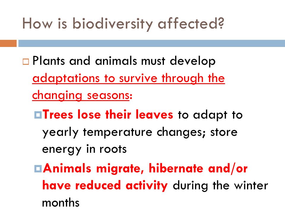 How is biodiversity affected.