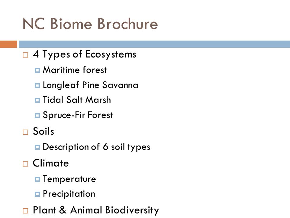 NC Biome Brochure  4 Types of Ecosystems  Maritime forest  Longleaf Pine Savanna  Tidal Salt Marsh  Spruce-Fir Forest  Soils  Description of 6 soil types  Climate  Temperature  Precipitation  Plant & Animal Biodiversity