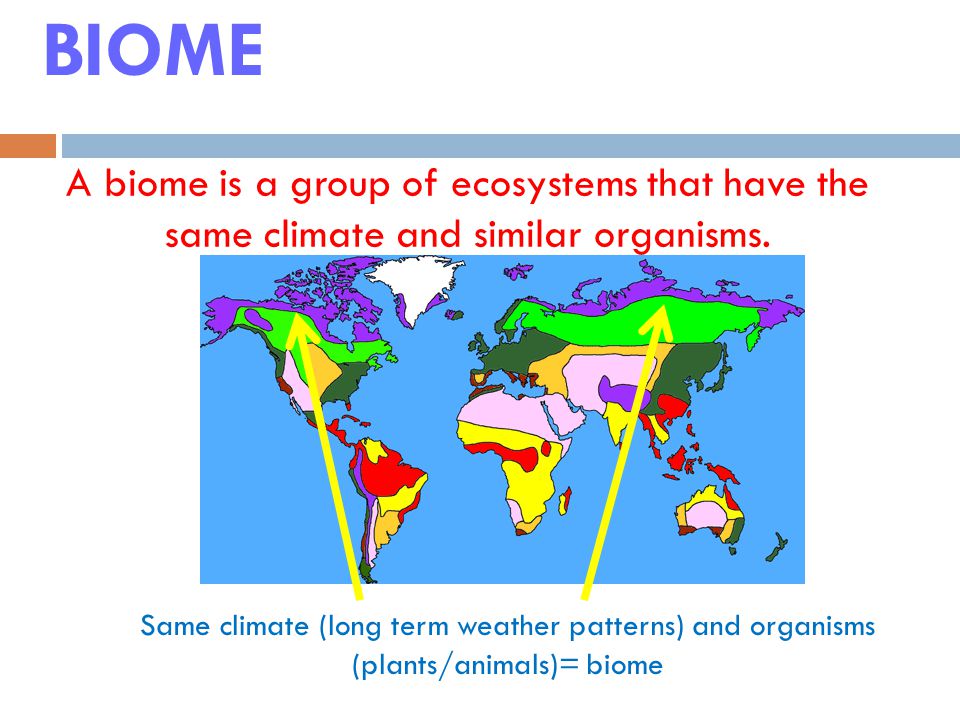 BIOME A biome is a group of ecosystems that have the same climate and similar organisms.