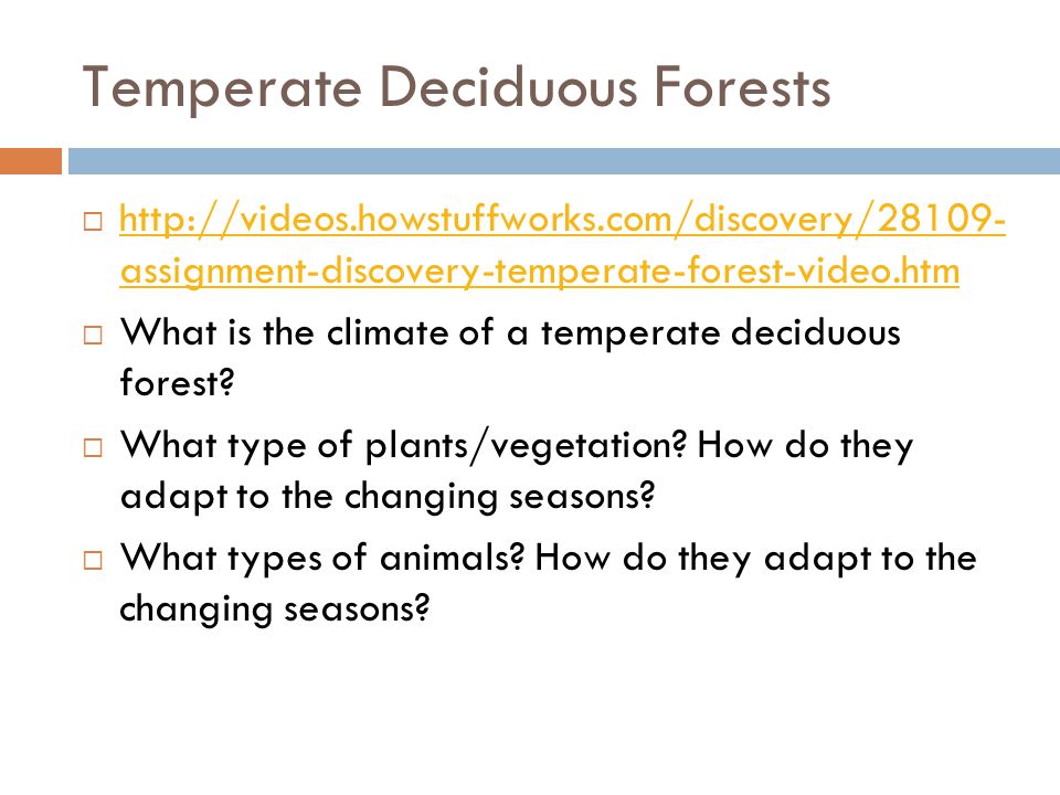Temperate Deciduous Forests    assignment-discovery-temperate-forest-video.htm   assignment-discovery-temperate-forest-video.htm  What is the climate of a temperate deciduous forest.