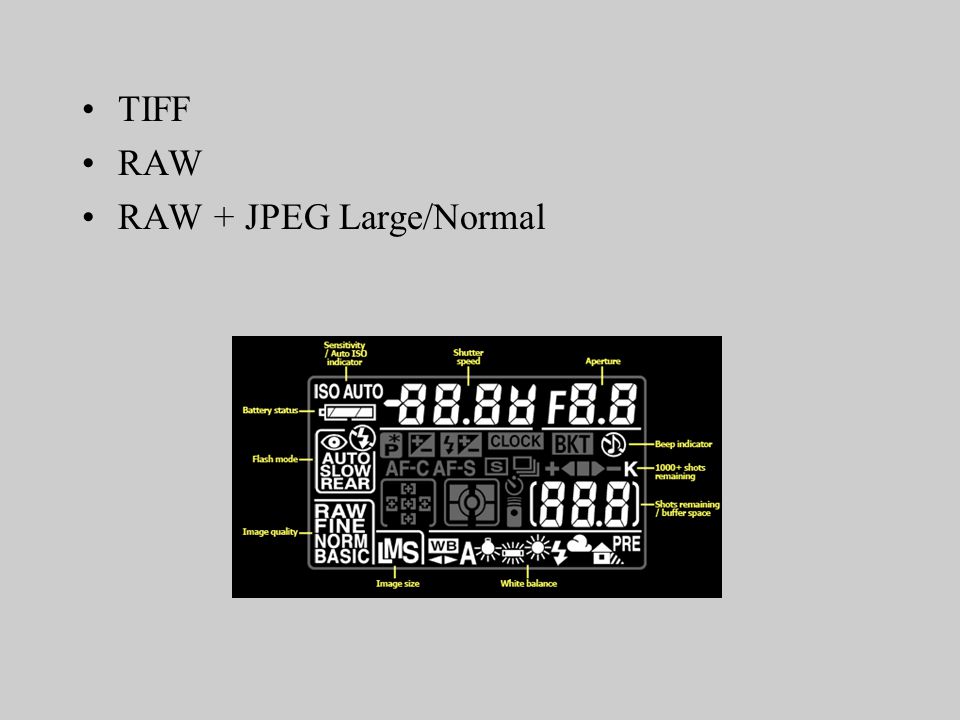 TIFF RAW RAW + JPEG Large/Normal