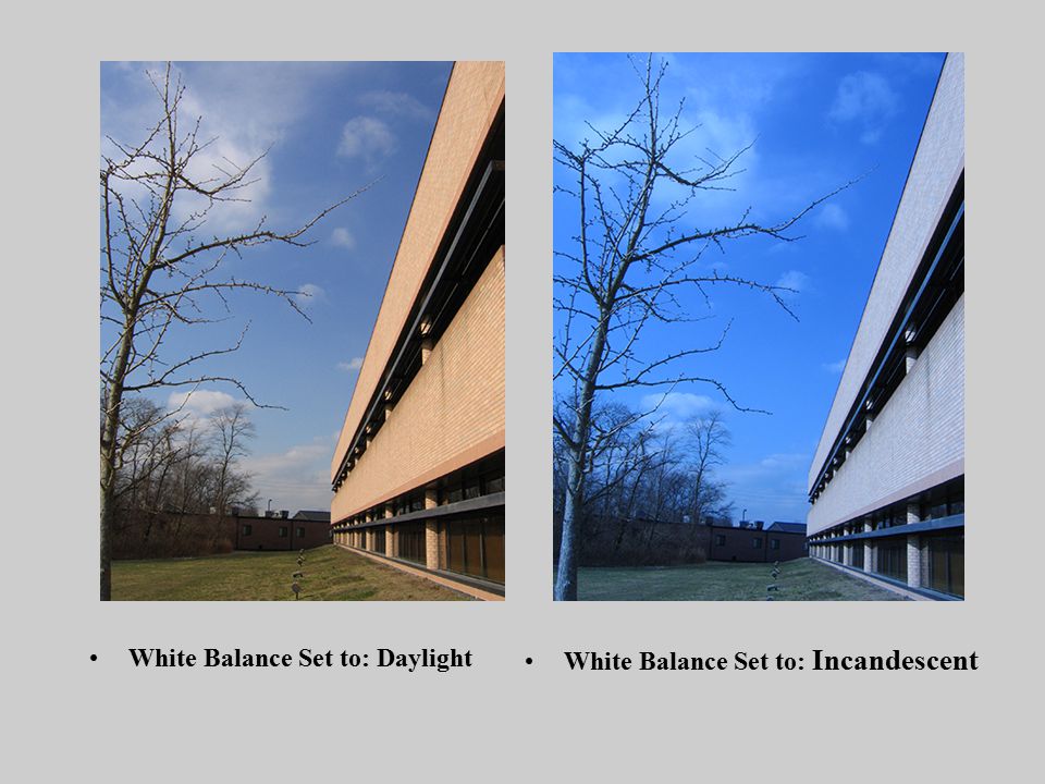 White Balance Set to: Daylight White Balance Set to: Incandescent