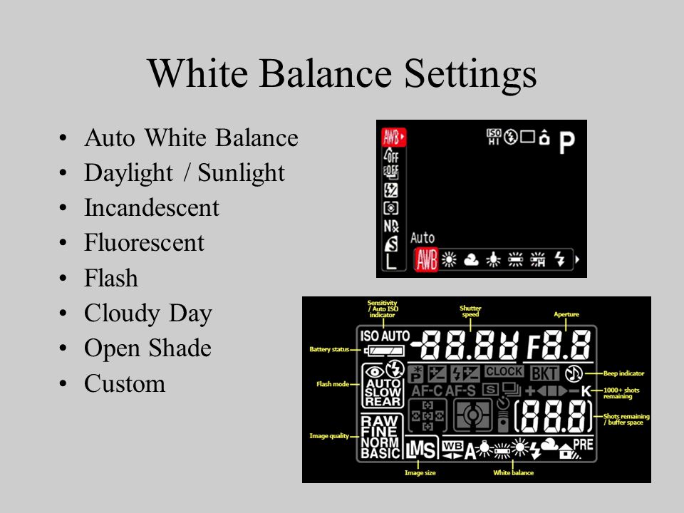 White Balance Settings Auto White Balance Daylight / Sunlight Incandescent Fluorescent Flash Cloudy Day Open Shade Custom
