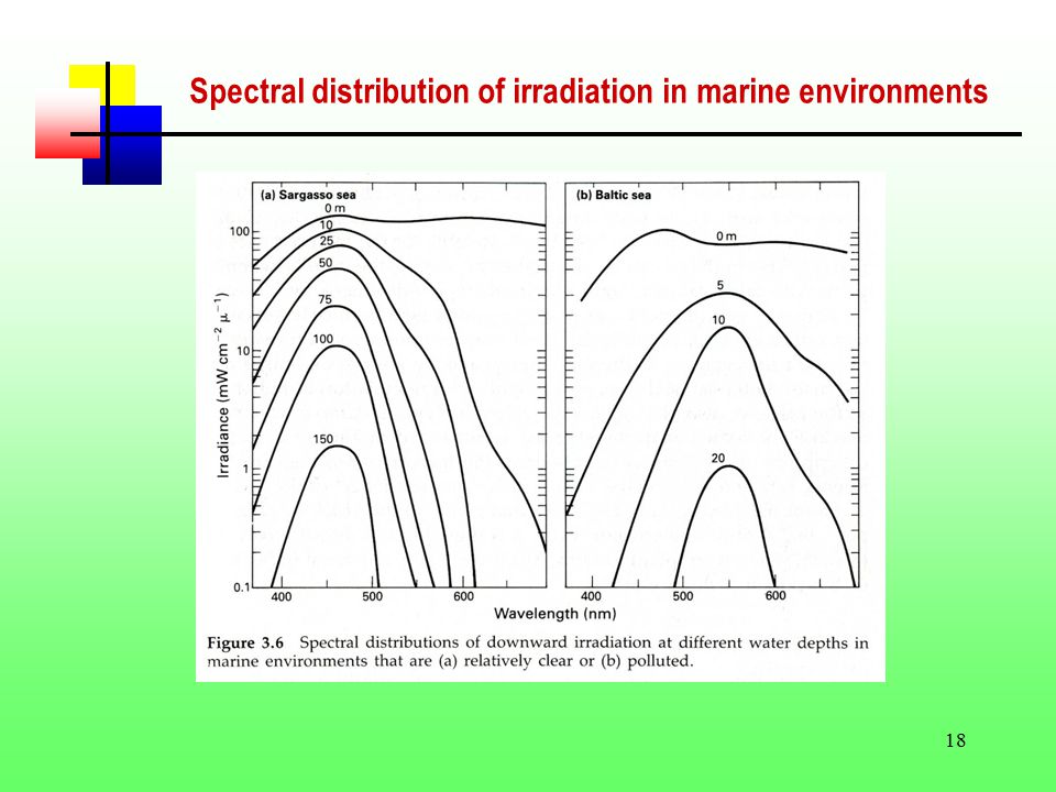 18 Spectral distribution of irradiation in marine environments