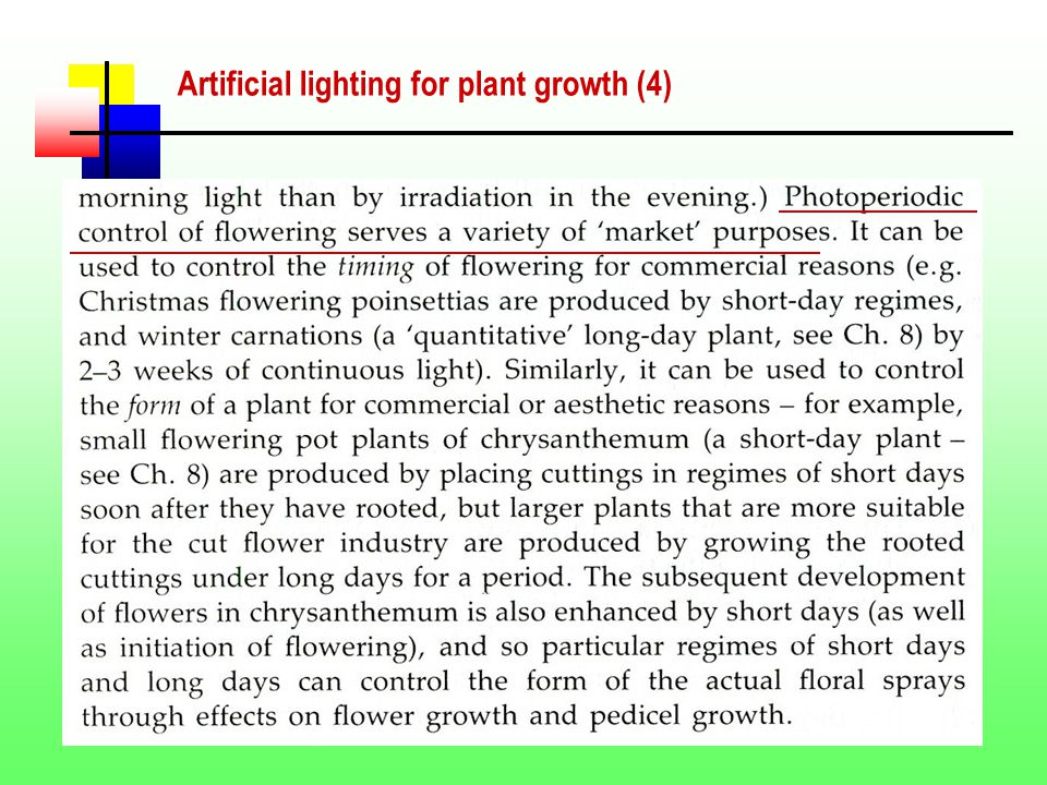 29 Artificial lighting for plant growth (4)