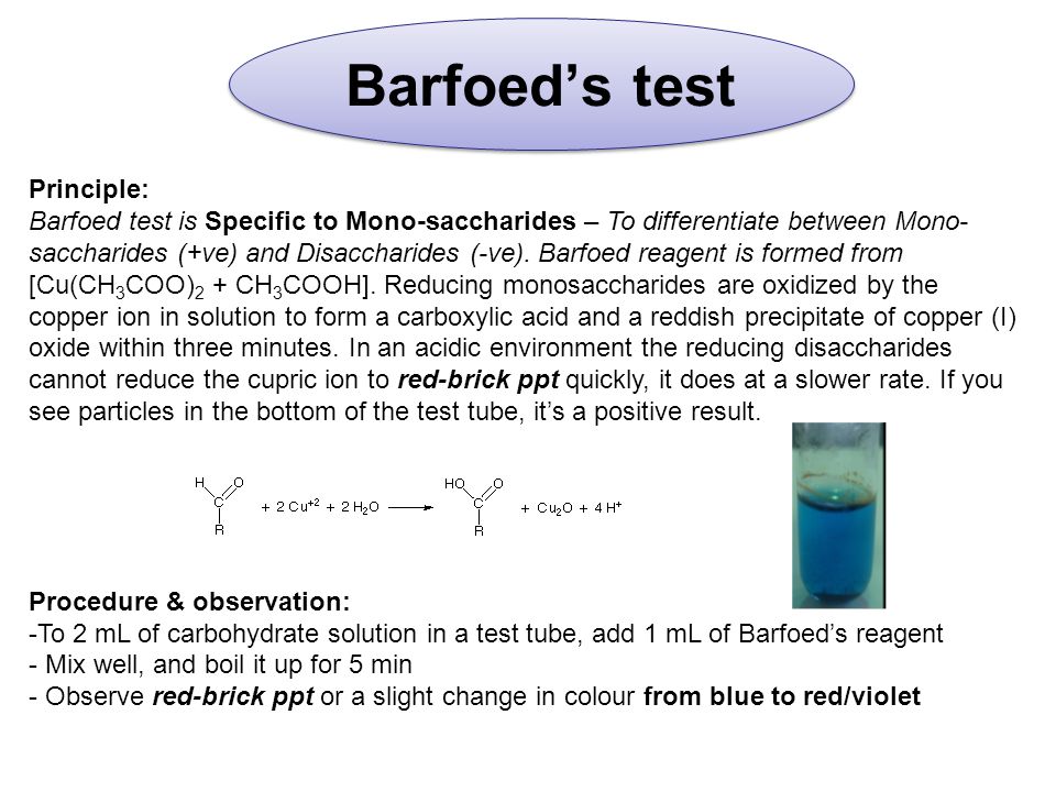 Barfoed’s test Principle: Barfoed test is Specific to Mono-saccharides – To differentiate between Mono- saccharides (+ve) and Disaccharides (-ve).