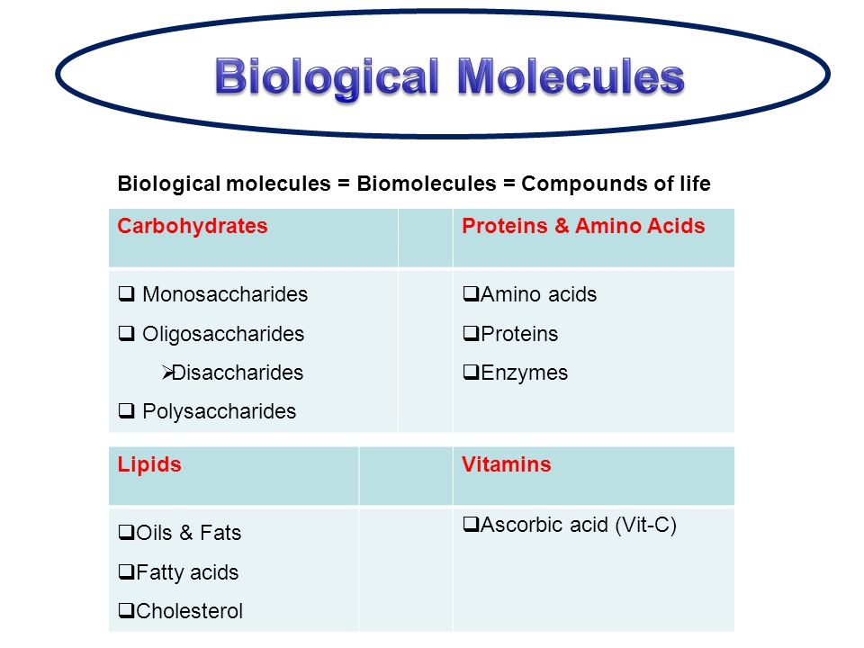 CarbohydratesProteins & Amino Acids  Monosaccharides  Oligosaccharides  Disaccharides  Polysaccharides  Amino acids  Proteins  Enzymes LipidsVitamins  Oils & Fats  Fatty acids  Cholesterol  Ascorbic acid (Vit-C) Biological molecules = Biomolecules = Compounds of life