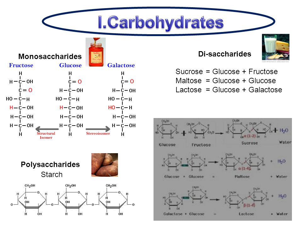 Monosaccharides Di-saccharides Polysaccharides Starch Sucrose= Glucose + Fructose Maltose= Glucose + Glucose Lactose= Glucose + Galactose