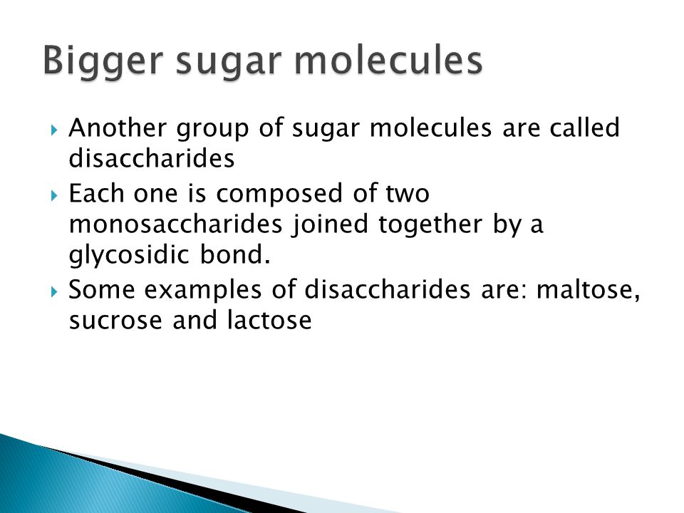  Another group of sugar molecules are called disaccharides  Each one is composed of two monosaccharides joined together by a glycosidic bond.