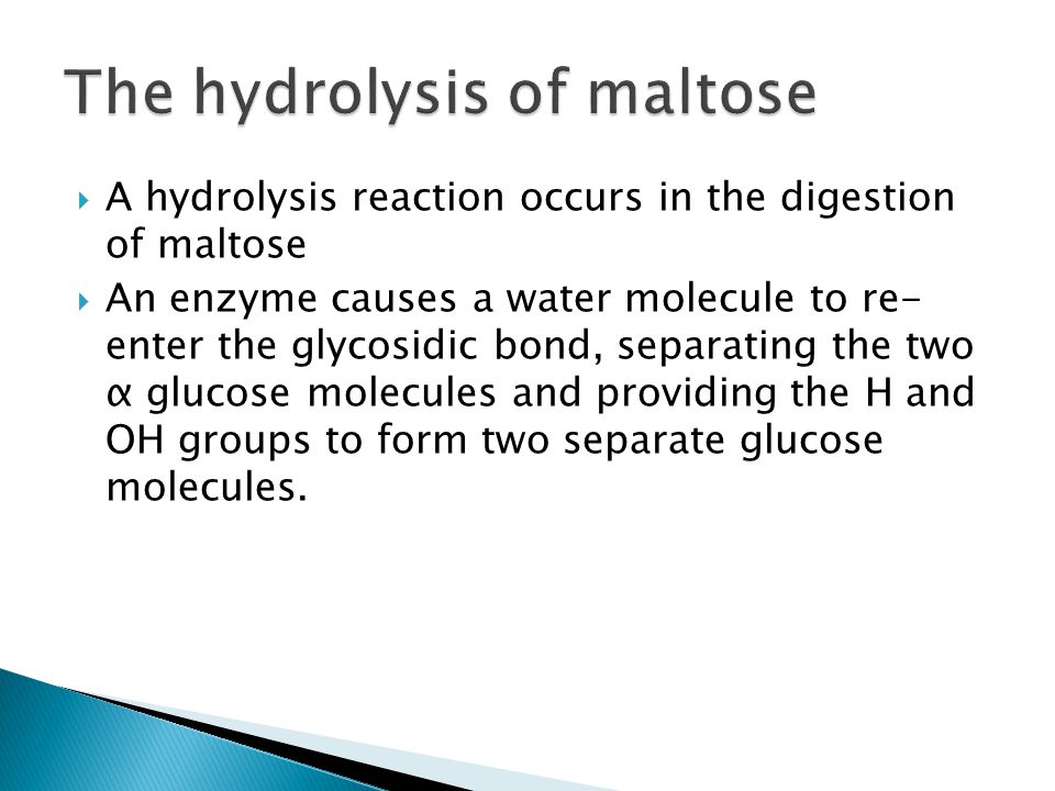  A hydrolysis reaction occurs in the digestion of maltose  An enzyme causes a water molecule to re- enter the glycosidic bond, separating the two α glucose molecules and providing the H and OH groups to form two separate glucose molecules.