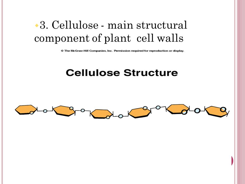 w 3. Cellulose - main structural component of plant cell walls