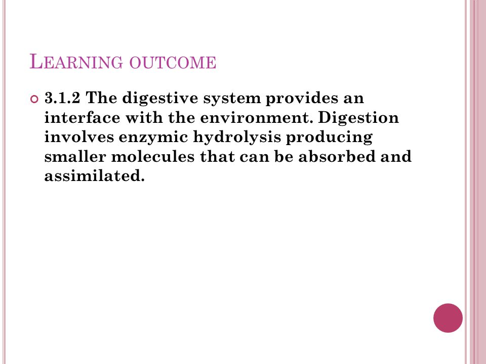 L EARNING OUTCOME The digestive system provides an interface with the environment.