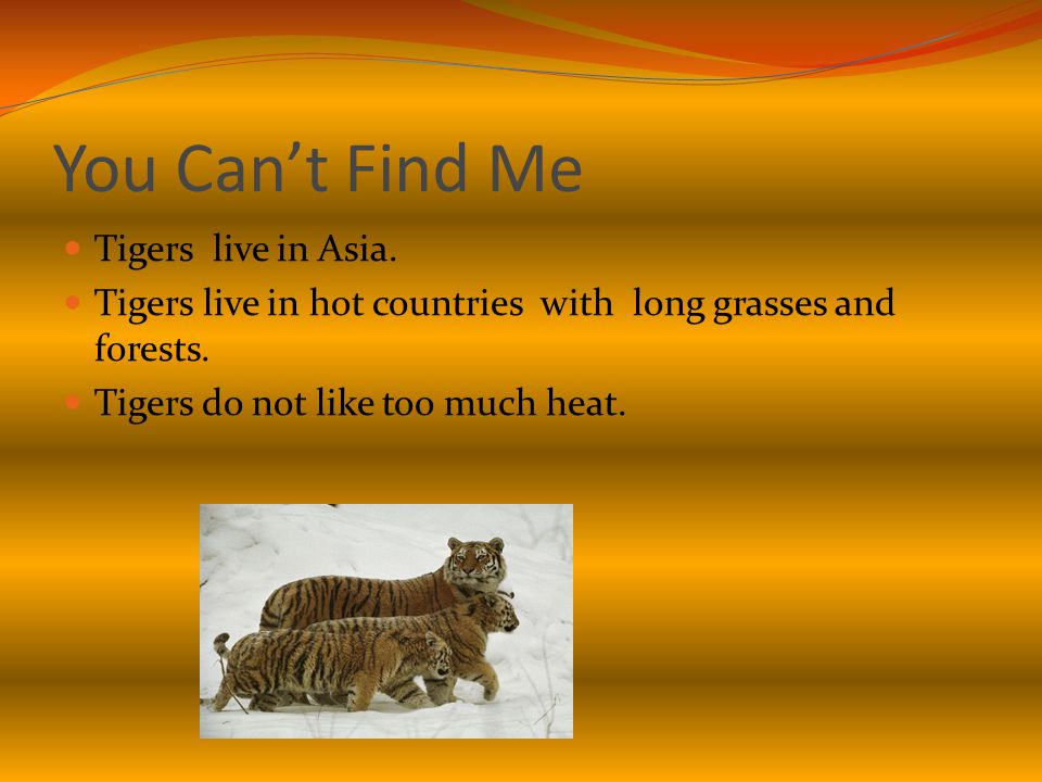 You Can’t Find Me Tigers live in Asia. Tigers live in hot countries with long grasses and forests.