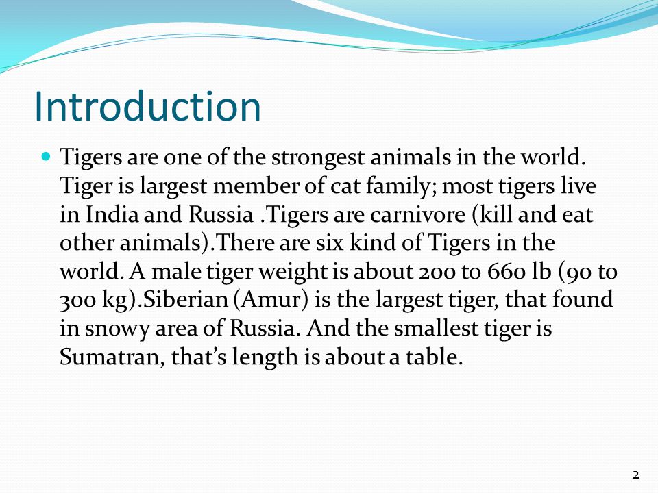 Introduction Tigers are one of the strongest animals in the world.