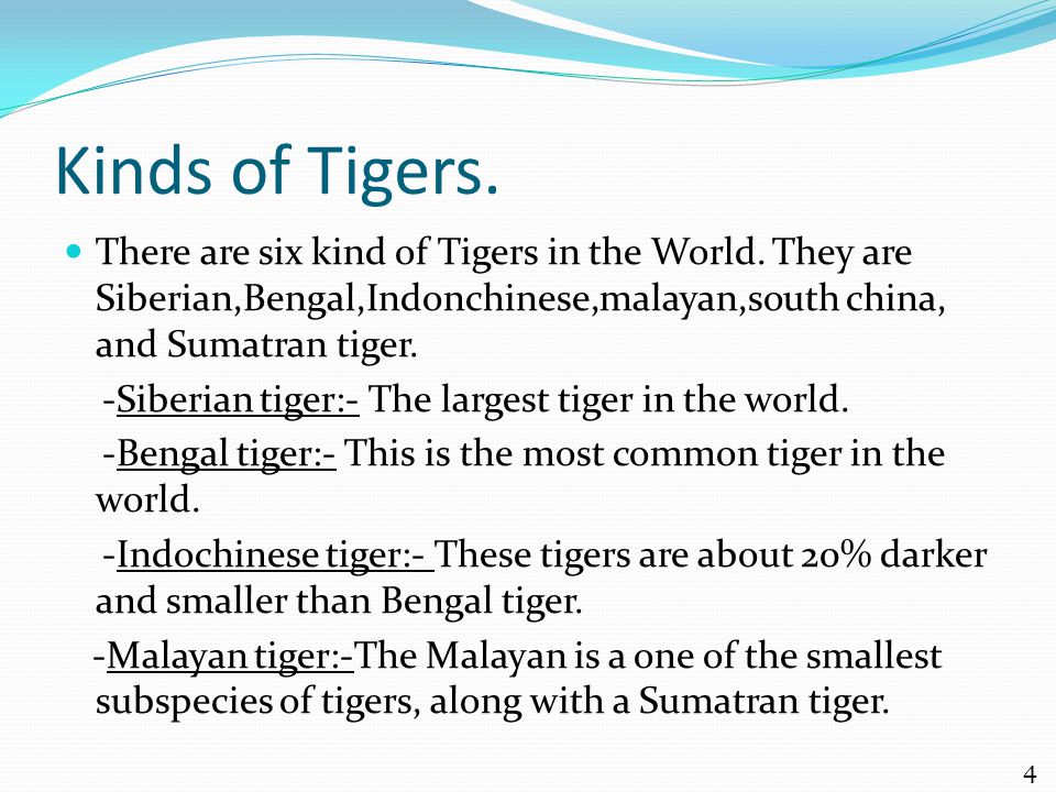 Kinds of Tigers. There are six kind of Tigers in the World.