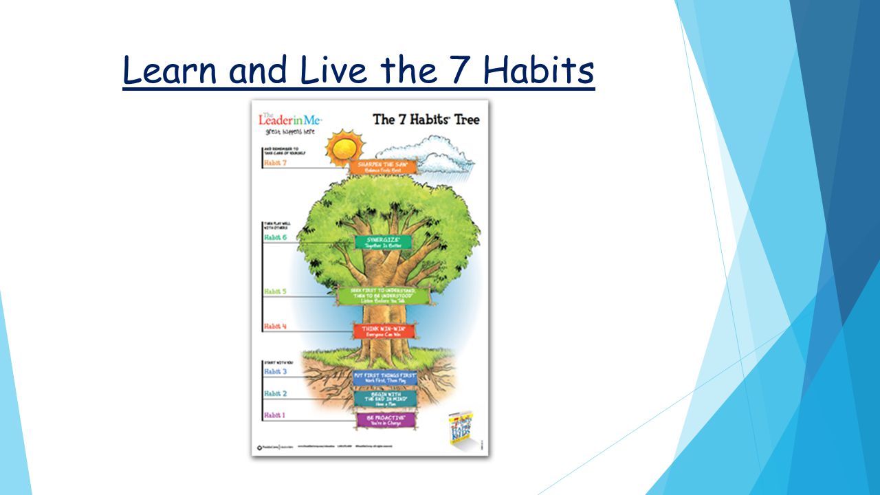Learn and Live the 7 Habits