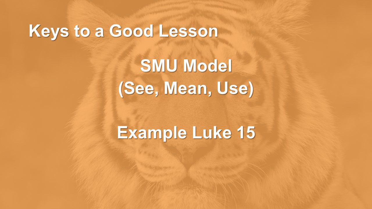 Keys to a Good Lesson SMU Model (See, Mean, Use) Example Luke 15