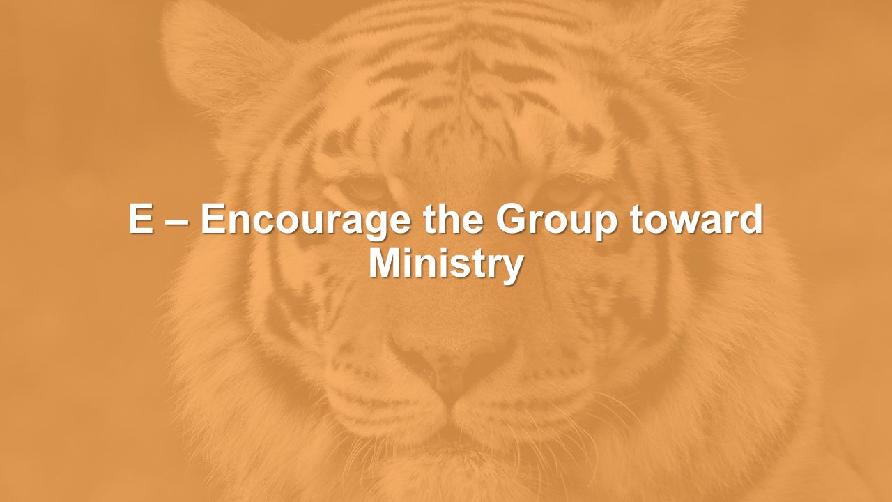 E – Encourage the Group toward Ministry