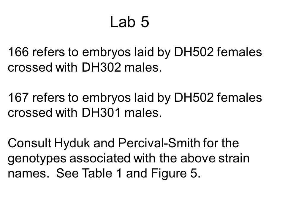 Lab refers to embryos laid by DH502 females crossed with DH302 males.