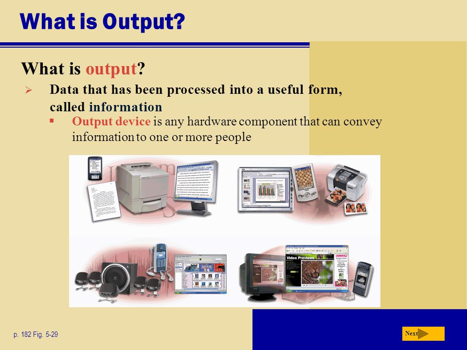 What is Output. What is output. p. 182 Fig.