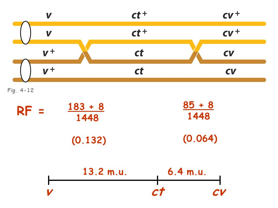 (0.064) (0.132) RF = 13.2 m.u. 6.4 m.u. Fig vct cv