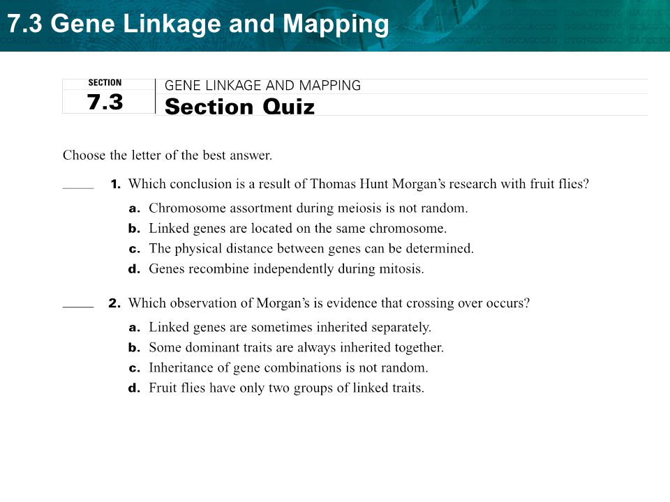 Section 11 5 Linkage And Gene Maps Worksheet Answers Key Concept Genes Can Be Mapped To Specific Locations On Chromosomes. - Ppt  Download