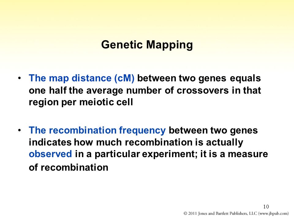 10 Genetic Mapping The map distance (cM) between two genes equals one half the average number of crossovers in that region per meiotic cell The recombination frequency between two genes indicates how much recombination is actually observed in a particular experiment; it is a measure of recombination