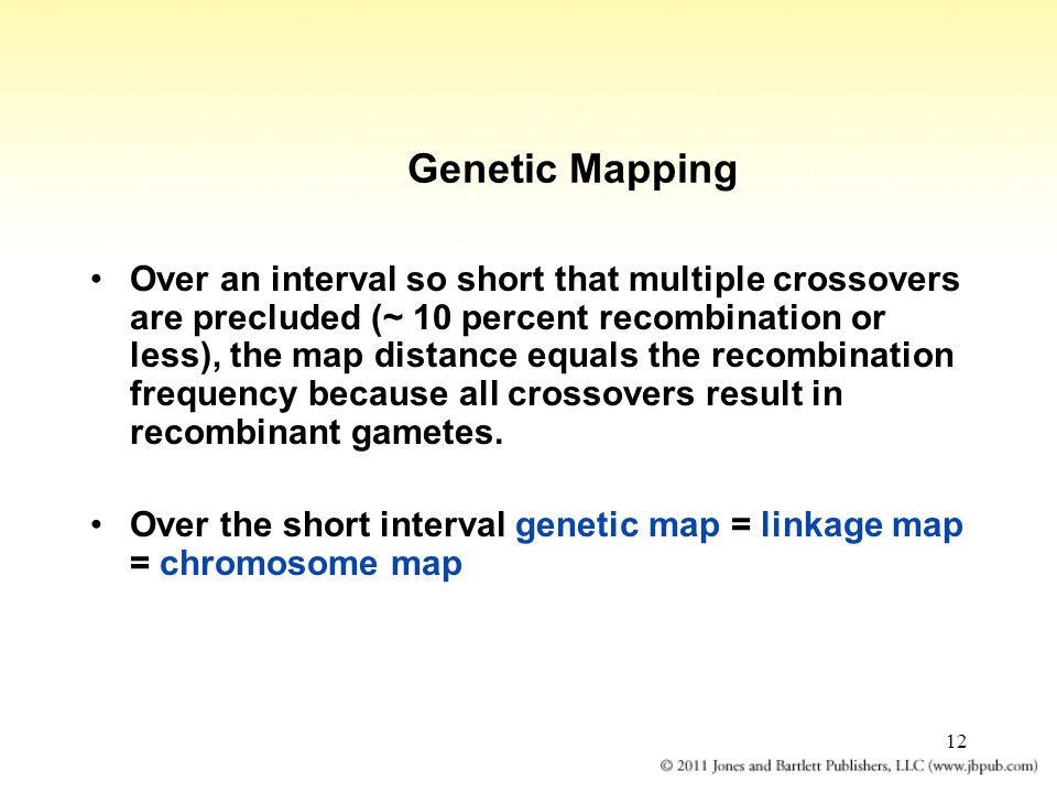 12 Genetic Mapping Over an interval so short that multiple crossovers are precluded (~ 10 percent recombination or less), the map distance equals the recombination frequency because all crossovers result in recombinant gametes.