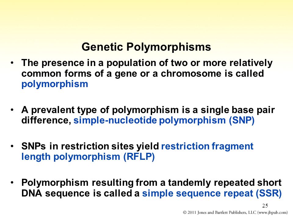 25 Genetic Polymorphisms The presence in a population of two or more relatively common forms of a gene or a chromosome is called polymorphism A prevalent type of polymorphism is a single base pair difference, simple-nucleotide polymorphism (SNP) SNPs in restriction sites yield restriction fragment length polymorphism (RFLP) Polymorphism resulting from a tandemly repeated short DNA sequence is called a simple sequence repeat (SSR)