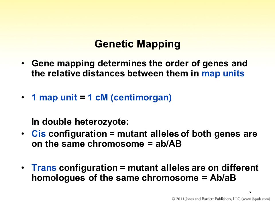 3 Genetic Mapping Gene mapping determines the order of genes and the relative distances between them in map units 1 map unit = 1 cM (centimorgan) In double heterozyote: Cis configuration = mutant alleles of both genes are on the same chromosome = ab/AB Trans configuration = mutant alleles are on different homologues of the same chromosome = Ab/aB