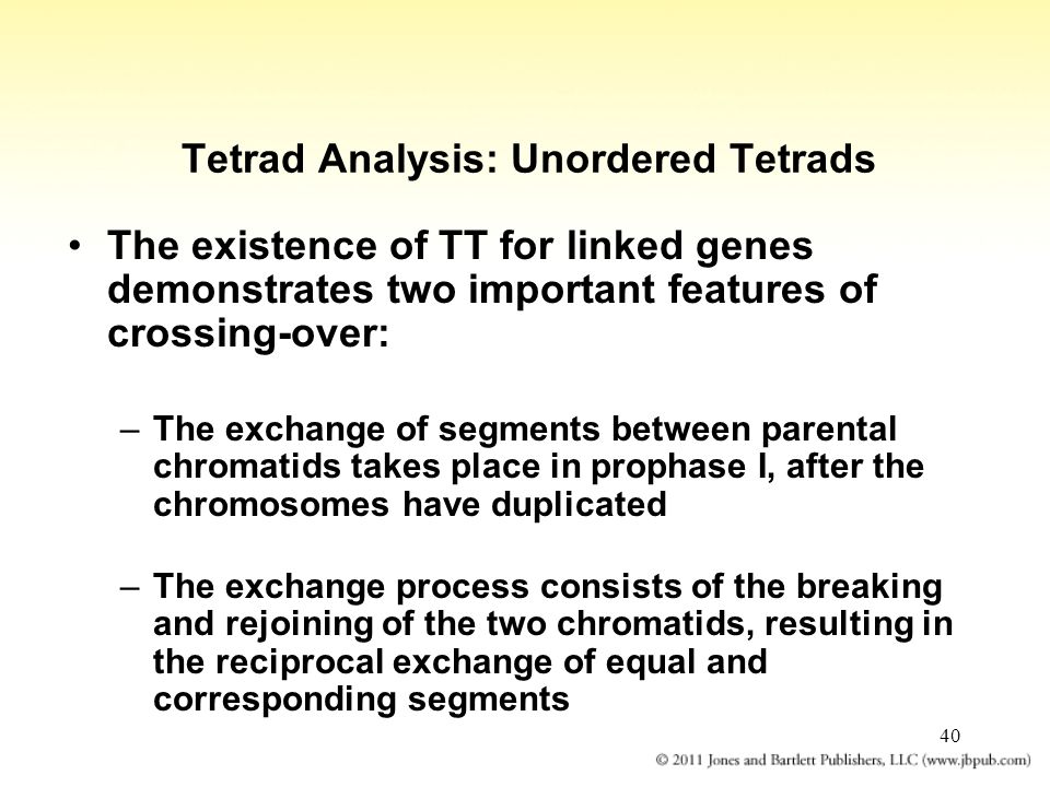 40 Tetrad Analysis: Unordered Tetrads The existence of TT for linked genes demonstrates two important features of crossing-over: –The exchange of segments between parental chromatids takes place in prophase I, after the chromosomes have duplicated –The exchange process consists of the breaking and rejoining of the two chromatids, resulting in the reciprocal exchange of equal and corresponding segments