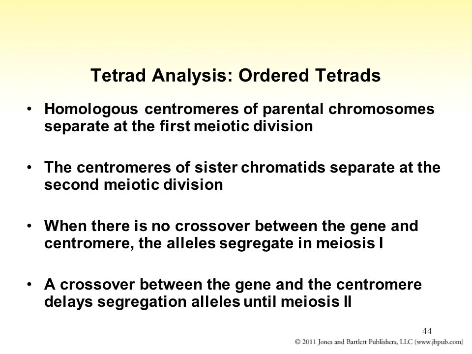 44 Tetrad Analysis: Ordered Tetrads Homologous centromeres of parental chromosomes separate at the first meiotic division The centromeres of sister chromatids separate at the second meiotic division When there is no crossover between the gene and centromere, the alleles segregate in meiosis I A crossover between the gene and the centromere delays segregation alleles until meiosis II