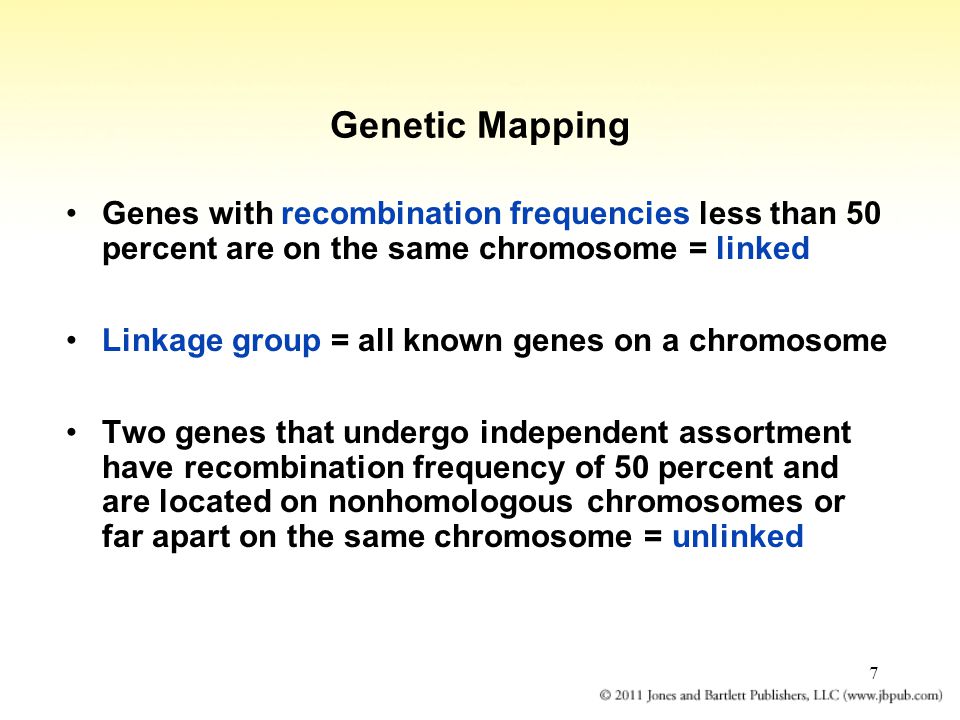 7 Genetic Mapping Genes with recombination frequencies less than 50 percent are on the same chromosome = linked Linkage group = all known genes on a chromosome Two genes that undergo independent assortment have recombination frequency of 50 percent and are located on nonhomologous chromosomes or far apart on the same chromosome = unlinked
