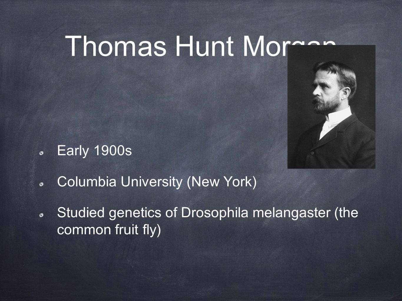 Thomas Hunt Morgan Early 1900s Columbia University (New York) Studied genetics of Drosophila melangaster (the common fruit fly)